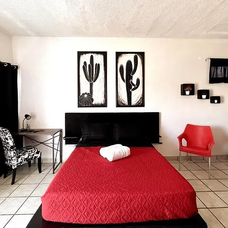 The Black & White Studio The Coziest Place In Cabo