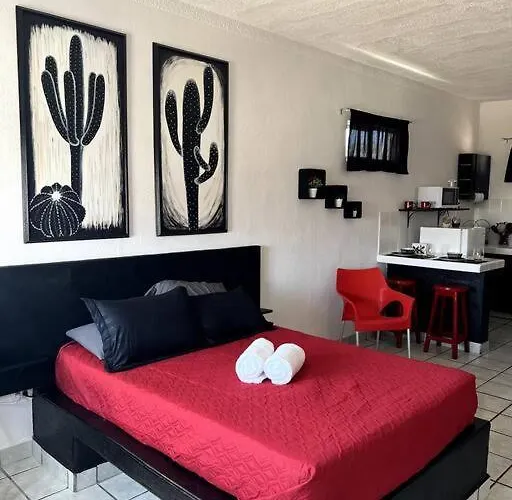 The Black & White The Coziest Place In Cabo * Cabo San Lucas
