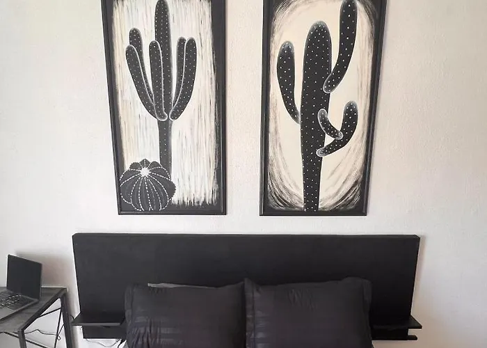 The Black & White The Coziest Place In Cabo Cabo San Lucas
