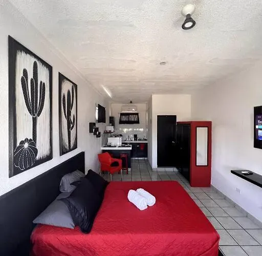 The Black & White The Coziest Place In Cabo Apartment *