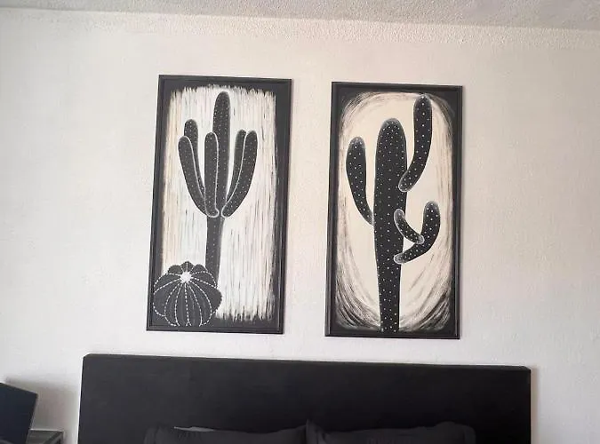 The Black & White The Coziest Place In Cabo * Cabo San Lucas